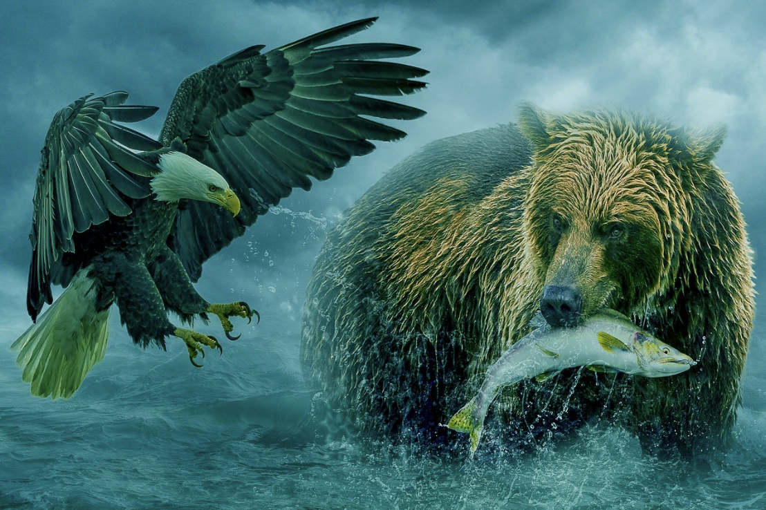 Aquila americana ed orso russo